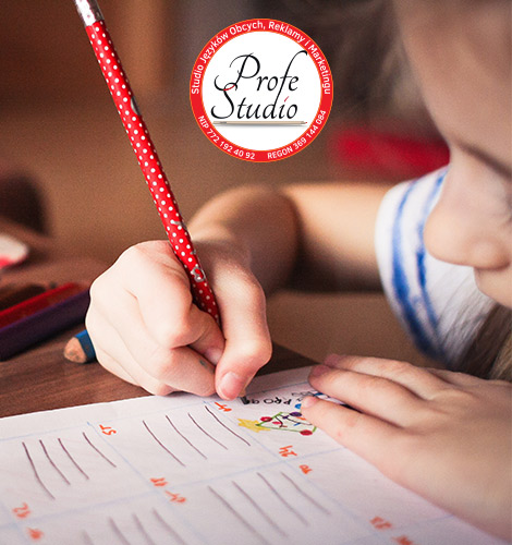 Zajęcia wyrównujące braki szkolne Profe Studio